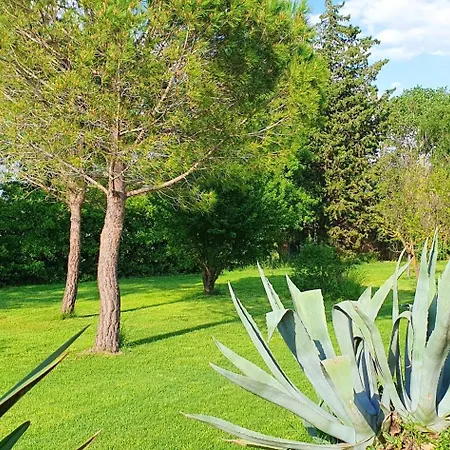 Maison Charmante A Avec Piscine Et Jardin Prázdninový dům