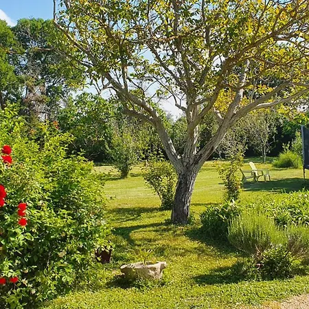 Maison Charmante A Avec Piscine Et Jardin