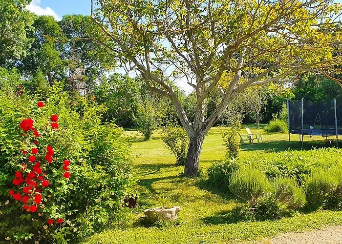 Maison Charmante A Avec Piscine Et Jardin Holiday home Narbonne